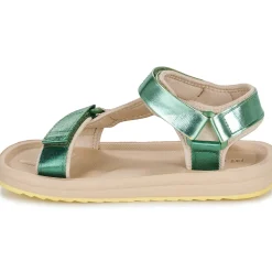 D.Franklin - 361 FOREST