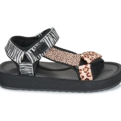 D.Franklin - 404 FOREST HIGH