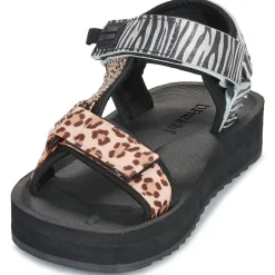 D.Franklin - 404 FOREST HIGH