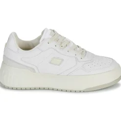 D.Franklin - COURT 321