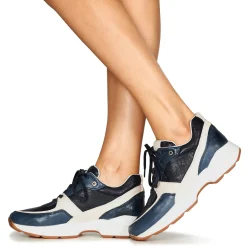 Dream in Green - AGAPANTHE