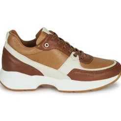 Dream in Green - AGAPANTHE