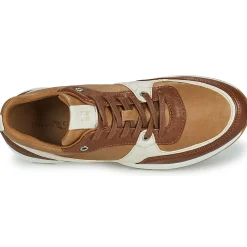 Dream in Green - AGAPANTHE