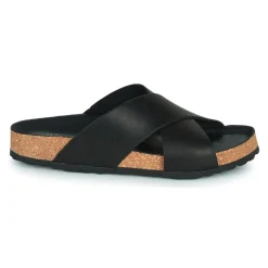 Dream in Green - AGAVE