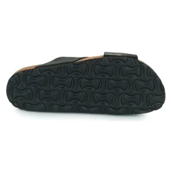 Dream in Green - AGAVE