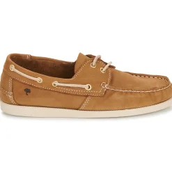 Dream in Green - ANTERA