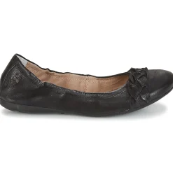 Dream in Green - CICALO