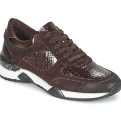 Dream in Green - FARRICA