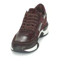 Dream in Green - FARRICA