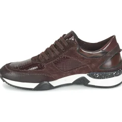 Dream in Green - FARRICA