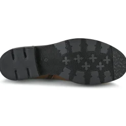 Dream in Green - FOMENTANA