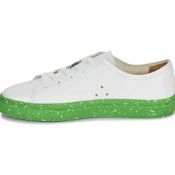 Dream in Green - JOBI