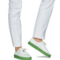 Dream in Green - JOBI