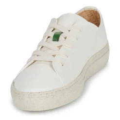 Dream in Green - JOBI