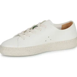 Dream in Green - JOBI