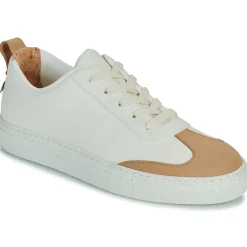 Dream in Green - JOBIA