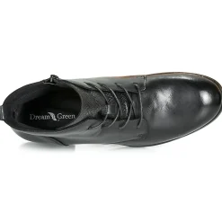 Dream in Green - LAMPEDI