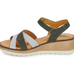 Dream in Green - LISA