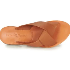 Dream in Green - MARNITO