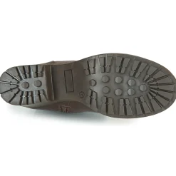 Dream in Green - NETISE