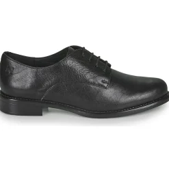 Dream in Green - NOUSSIN