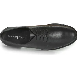 Dream in Green - NOUSSIN