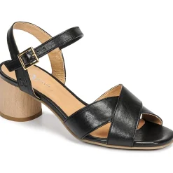 Dream in Green - ODAINE