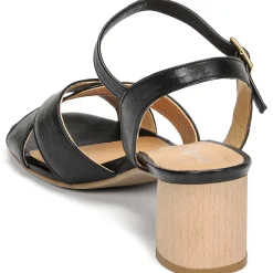 Dream in Green - ODAINE