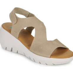 Dream in Green - OLENE