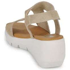 Dream in Green - OLENE