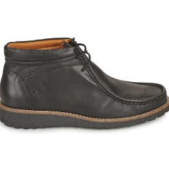 Dream in Green - OPHINA