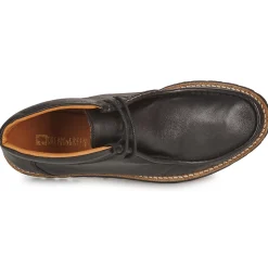 Dream in Green - OPHINA