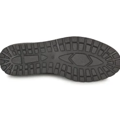 Dream in Green - OPHINA