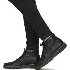 Dream in Green - OPHINA