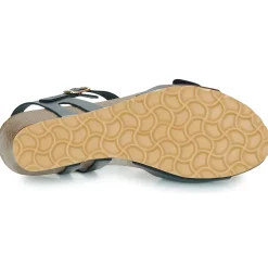 Dream in Green - PHILEAS