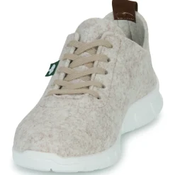 Dream in Green - SOTISE