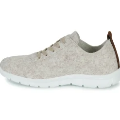 Dream in Green - SOTISE