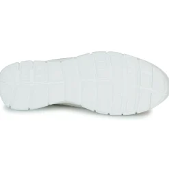 Dream in Green - SOTISE