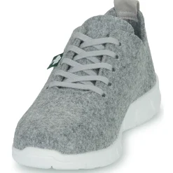 Dream in Green - SOTISE