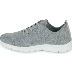 Dream in Green - SOTISE