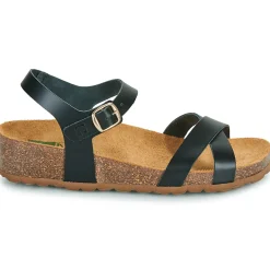 Dream in Green - TSILI