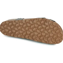 Dream in Green - TSILI