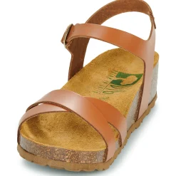 Dream in Green - TSILI