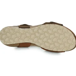 Dream in Green - ZAMINI