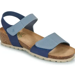 Dream in Green - ZAMINI