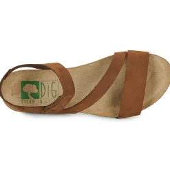 Dream in Green - ZIMINI