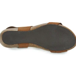 Dream in Green - ZIMINI