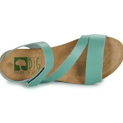 Dream in Green - ZIMINI