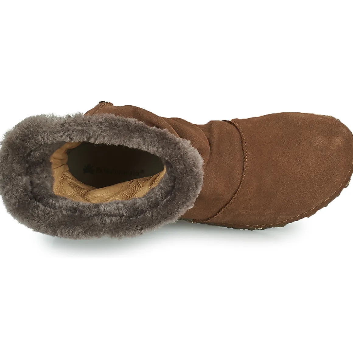 El Naturalista - ANGKOR N5468