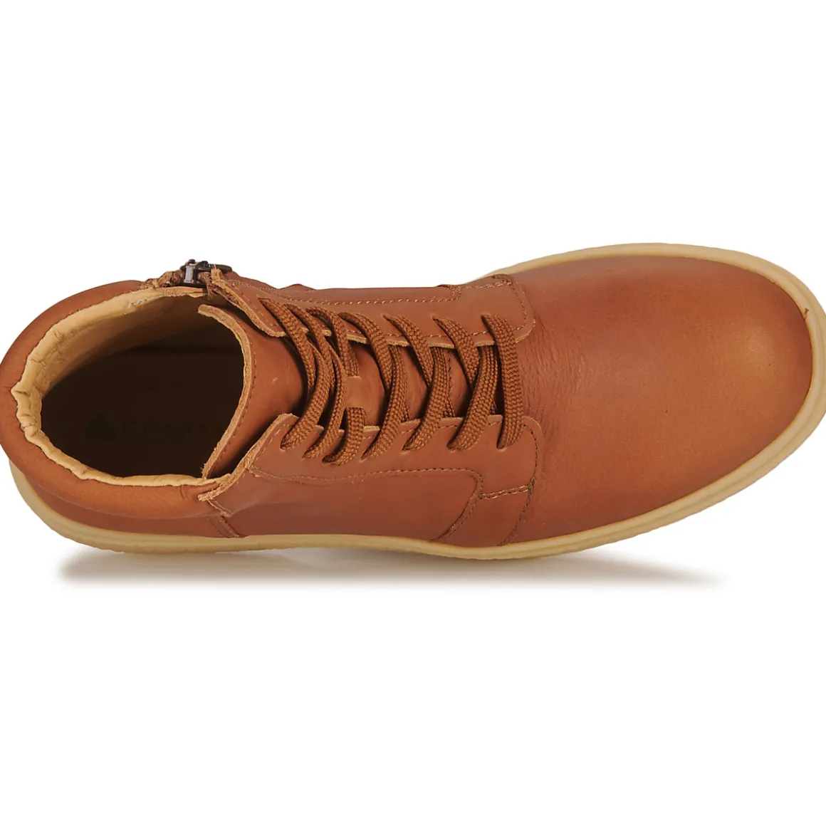 El Naturalista - ARPEA N5900